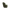 Flow - Sic - Oliwkowy