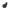 Flow - Sic - Oliwkowy