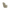Flow - Sic - Beżowy