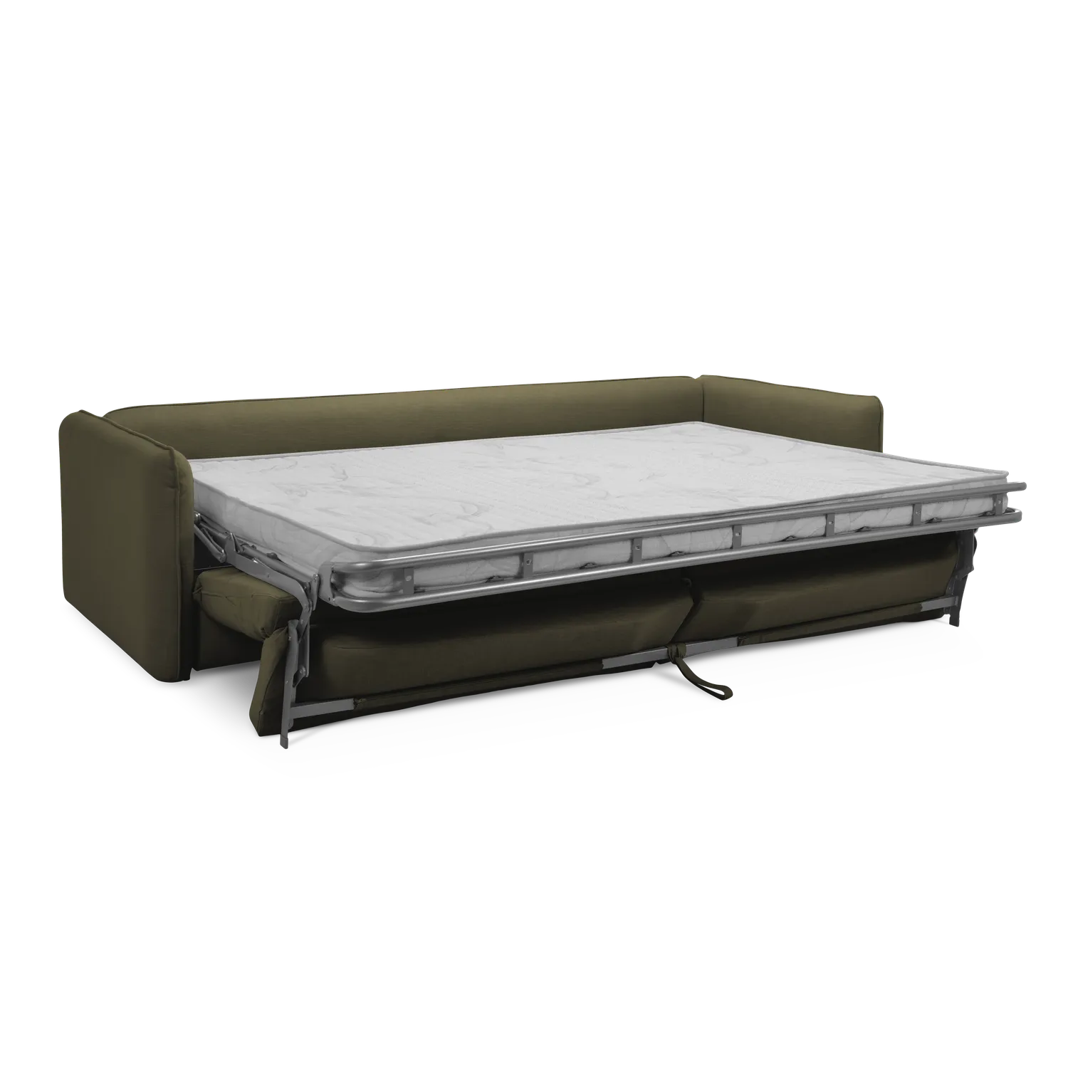 Moly - Davis - Oliwkowy