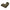 Nube - Davis - Oliwkowy / Prawy