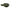 Flow - Sic - Oliwkowy / Prawy