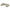 Flow - Sic - Beżowy