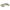 Flow - Sic - Beżowy