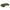 Flow - Sic - Oliwkowy