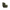 Flow - Sic - Oliwkowy