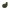 Flow - Sic - Oliwkowy