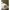 Taro - Fargotex - Zielony - 180x200