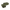 Flow - Sic - Oliwkowy / Lewy