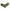 Bluvel - Fabb - Oliwkowy / Prawy